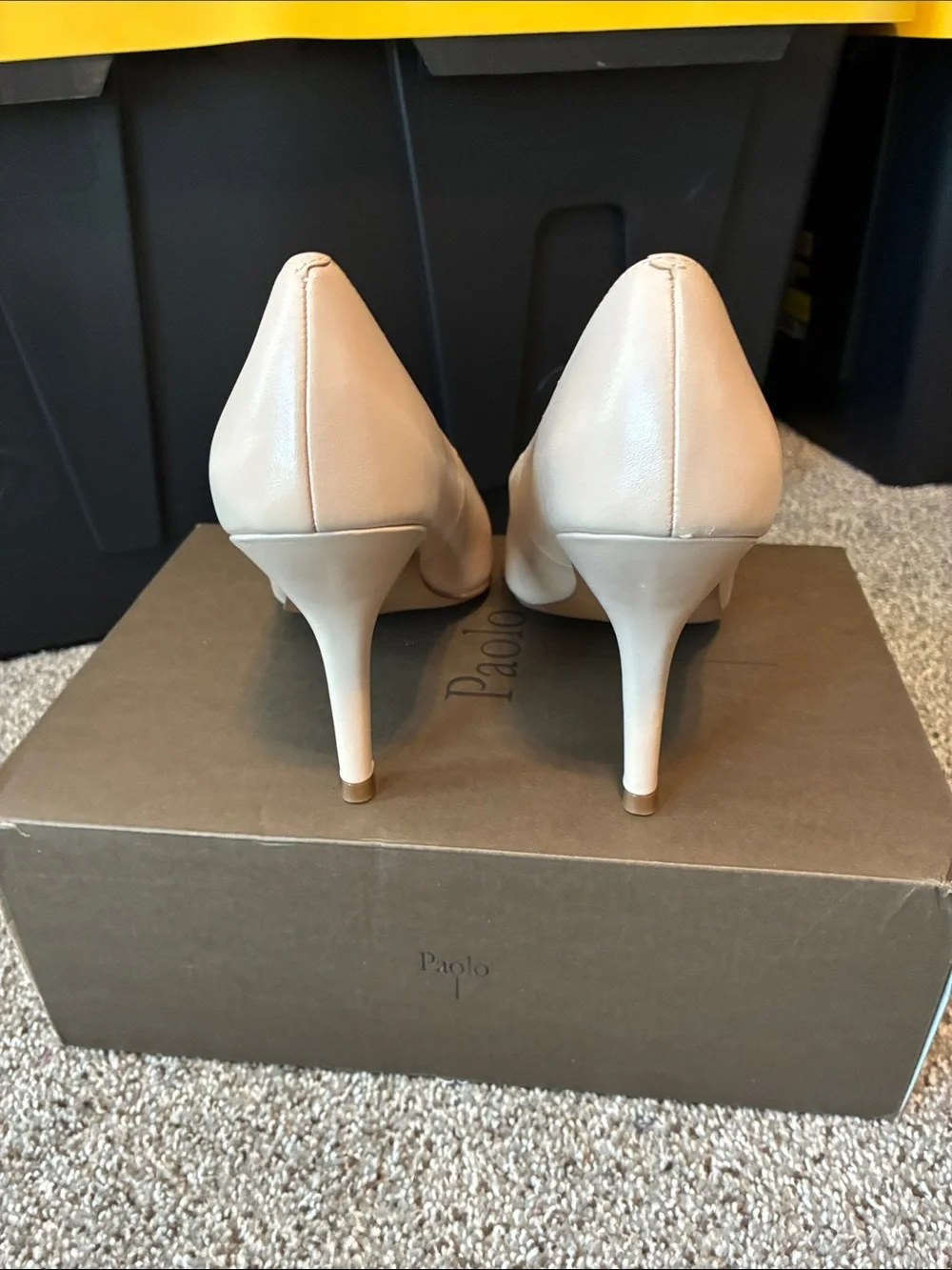 Paolo Pointed Toe Stiletto Pumps - Blush Nude
